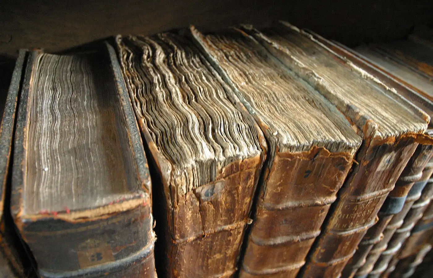 The leather spines of a row of old theological books.